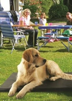 Bia Bed Bia Bed Matras Ligbed Zwart 7 Bia Bed Bia Bed Matras Ligbed Zwart -SWEET PETS Winkel bia bed bia bed matras ligbed zwart 2