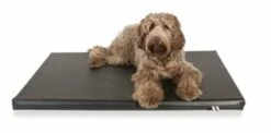 Bia Bed Bia Bed Matras Orthopedisch Ligbed Zwart -SWEET PETS Winkel bia bed bia bed matras orthopedisch ligbed zwart 2