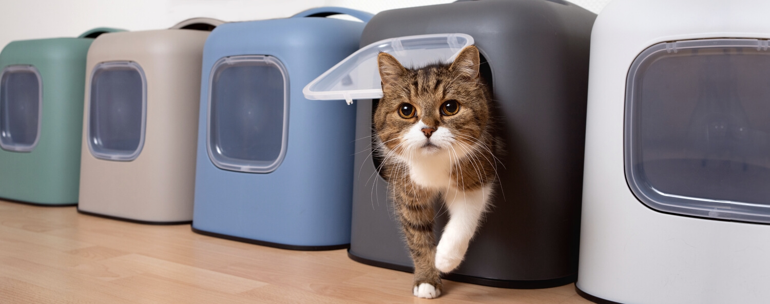 Voorkant 9 Voorkant -SWEET PETS Winkel i11