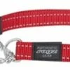 Rogz For Dogs Rogz For Dogs Fanbelt Choker Rood -SWEET PETS Winkel rogz for dogs rogz for dogs fanbelt choker rood