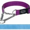 Rogz For Dogs Rogz For Dogs Fanbelt Choker Turqouise -SWEET PETS Winkel rogz for dogs rogz for dogs fanbelt choker turqoui