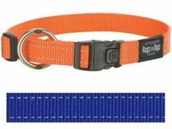 Rogz For Dogs Rogz For Dogs Fanbelt Halsband Blauw