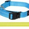 Rogz For Dogs Rogz For Dogs Fanbelt Halsband Geel -SWEET PETS Winkel rogz for dogs rogz for dogs fanbelt halsband geel