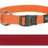 Rogz For Dogs Rogz For Dogs Fanbelt Halsband Rood -SWEET PETS Winkel rogz for dogs rogz for dogs fanbelt halsband rood