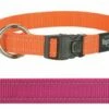 Rogz For Dogs Rogz For Dogs Fanbelt Halsband Roze -SWEET PETS Winkel rogz for dogs rogz for dogs fanbelt halsband roze