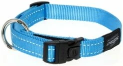 Rogz For Dogs Rogz For Dogs Fanbelt Halsband Turquoise