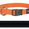 Rogz For Dogs Rogz For Dogs Fanbelt Halsband Zwart -SWEET PETS Winkel rogz for dogs rogz for dogs fanbelt halsband zwart