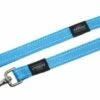 Rogz For Dogs Rogz For Dogs Fanbelt Long Lijn Turquoise -SWEET PETS Winkel rogz for dogs rogz for dogs fanbelt long lijn turq