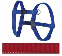Rogz For Dogs Rogz For Dogs Fanbelt Tuig Rood