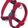 Rogz For Dogs Rogz For Dogs Snake Tuig Rood -SWEET PETS Winkel rogz for dogs rogz for dogs snake tuig rood