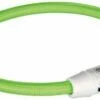 Trixie Trixie Halsband Hond Flash Lichthalsband Usb Tpu / Nylon Groen -SWEET PETS Winkel trixie trixie halsband hond flash lichthalsband us