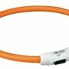 Trixie Trixie Halsband Hond Flash Lichthalsband Usb Tpu / Nylon Oranje -SWEET PETS Winkel trixie trixie halsband hond flash lichthalsband us 2