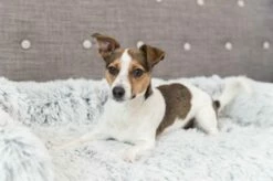 Voorkant -SWEET PETS Winkel trixie trixie sofa bed harvey meubelbeschermer hoe 1